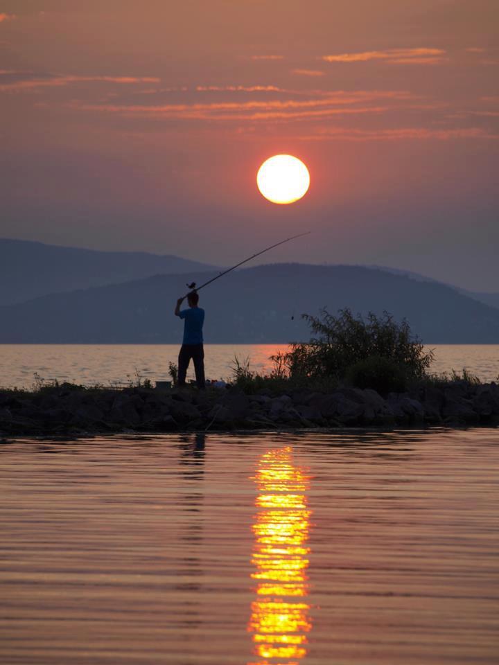 tot felu - 16428644812611193743184899520n.jpg